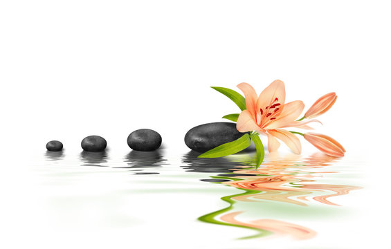 Stone et Zen