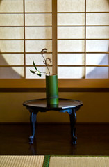 A white rose against a Japanese paper screen window
