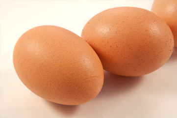 Eggs