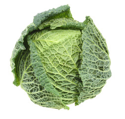 Ripe Savoy Cabbage Isolated  with clipping path
