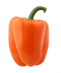 orange paprika isolated on white with clipping path
