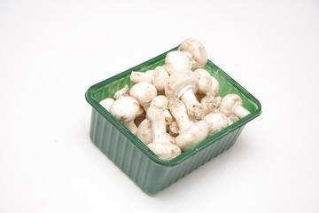 champignons de paris