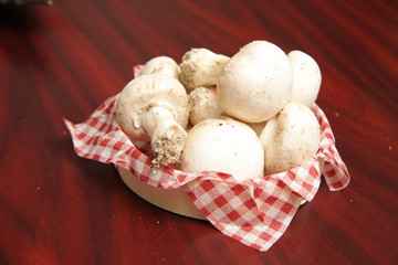 champignons de paris