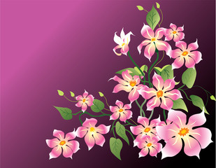 Naklejka premium floral background