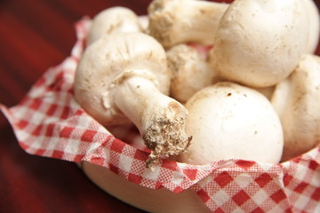 champignons de paris
