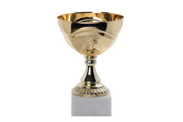 Trophy isolated on white background