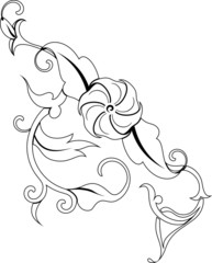 floral elements for design