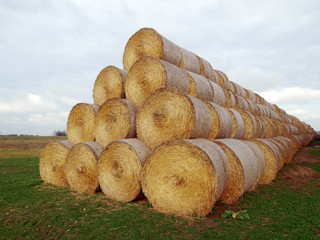 many straw bales