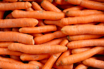 Carrot texture