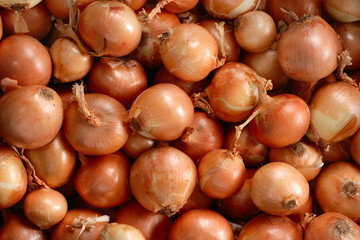 Onion texture