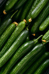Cucumbers background