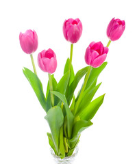 five pink tulips bouquet