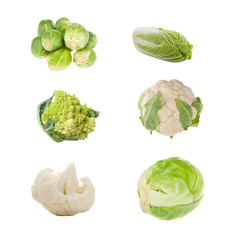 set of different sorts of cabbage