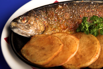fish