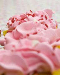Pink Cupcakes