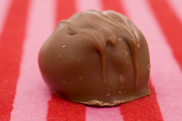 ,shutterstock,bigstock