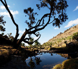 Fototapeta na wymiar Jezioro w Etiopii