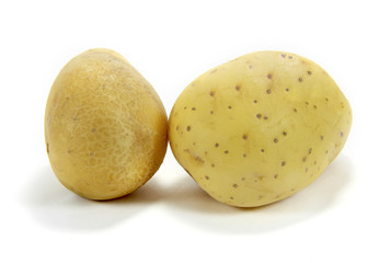 La pomme de terre