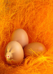 Easter eggs with hare