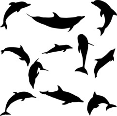 Naklejka premium dolphins collection - vector