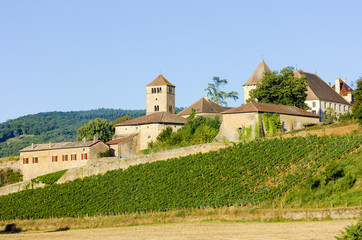 Fototapeta na wymiar Chateau de Pierreclos, Burgundia, Francja