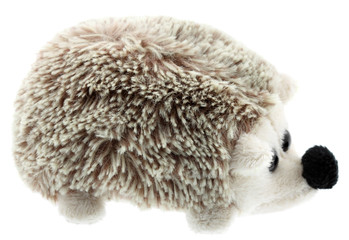 hérisson peluche, fond blanc