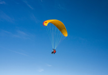 Paraglider
