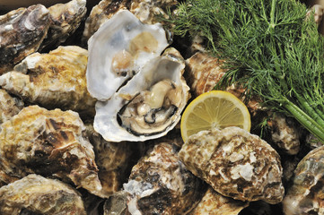 Frische Austern, Meeresfrüchte, Schalentiere, Luxus