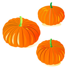 pumpkin....pumpkin....pumpkin....