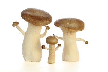 mushroom-man  Family