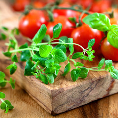 Fresh herbs and tomatoes