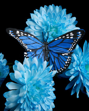 Blue Carnations And A Monarch Butterfly