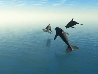  Drie dolfijnen boven de zee © Olga Galushko