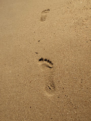 Fototapeta na wymiar footprints in beach sand