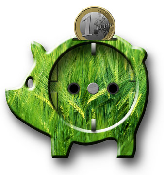 Sparschwein Steckdose Bio Euro