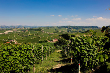 Barolo Piemonte Italy