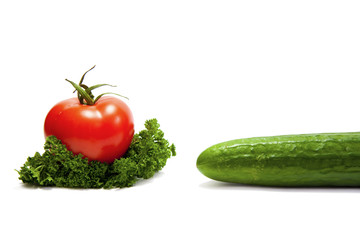 Fresh tasty vegetables on white