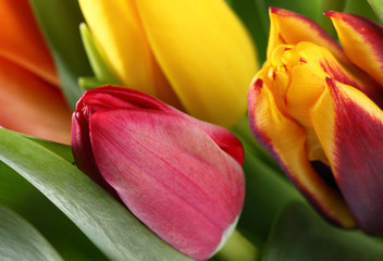 Tulpenstrauß