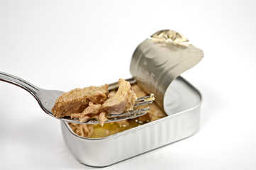 Thunfischstücke auf einerr Gabel