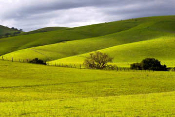 Rolling Green Hills