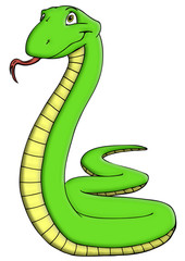 Schlange, Mamba, Dschungel, gefährlich, giftig, Gift