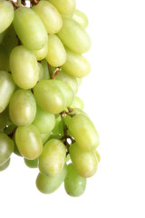 Weintrauben