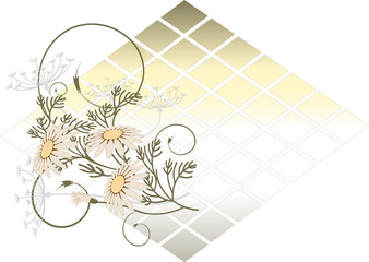 Banner with  Camomile.  Postcard. Background