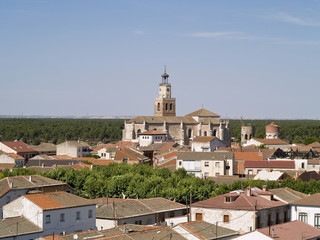 Fototapeta na wymiar Coca, pequeña ciudad histórica, provincia de Segovia, España