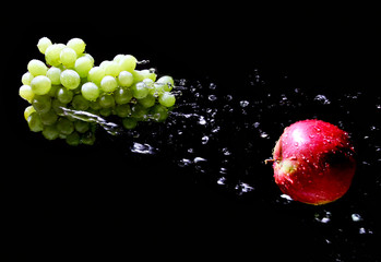 Fototapete bei efototapeten.de bestellen   