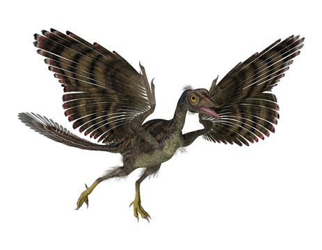 Prehistoric Bird