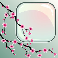 Cherry blossoms