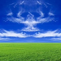 clouds looks like an eagle above a green field