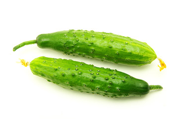 cucumbers