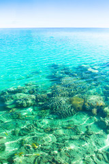 Fototapeta premium sea blue